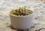 Coleslaw